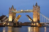 Dimex Tower Bridge Night Vlies Fotobehang 375x250cm 5-banen