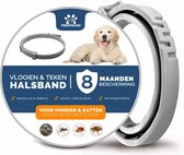 Vlooienband Hond Premium - Grote & Kleine Hond - Halsband - 8 maanden bescherming