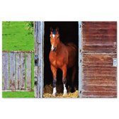 Graphic Message - Schilderij op Canvas - Houtlook Print Paard - Kleurrijk - Wanddecoratie Woonkamer