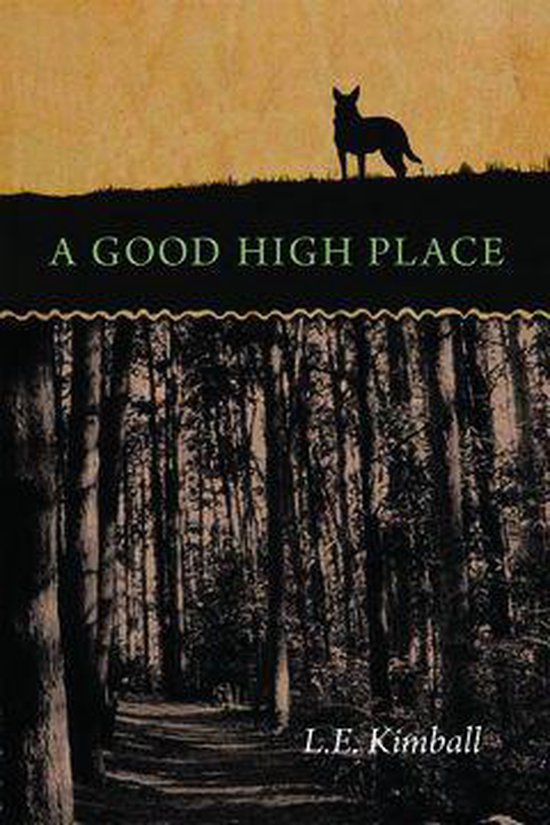 Switchgrass Books A Good High Place Ebook Lynn Kimball Fay 9781609090029 Boeken