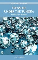 Amazing Stories - Treasure Under the Tundra