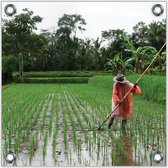 Tuinposter –Werker op Rijstveld– 50x50cmFoto op Tuinposter (Wanddecoratie voor buiten en binnen)