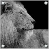 Tuinposter –Leeuw– 50x50cmFoto op Tuinposter (Wanddecoratie voor buiten en binnen)