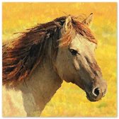 Graphic Message - Schilderij op Canvas - Paard - Konik - Print