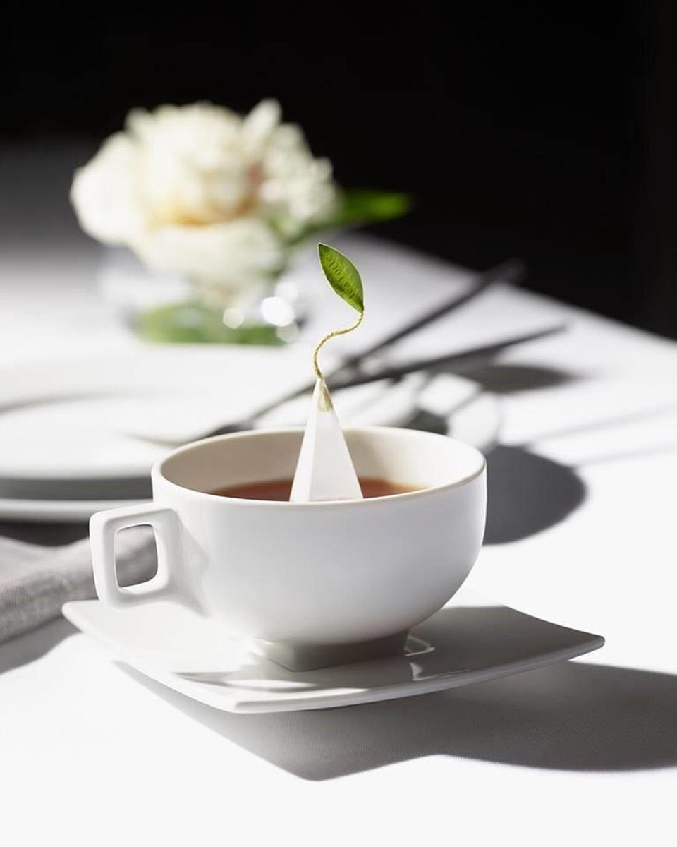 African solstice (rooibos) horeca doos 48 piramides Tea Forté