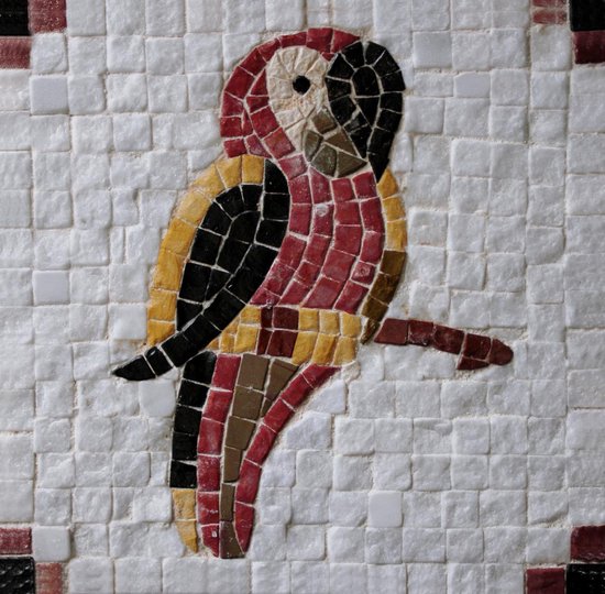 Mozaiekpakket - Neptune Mosaic, mosaikit - Papegaai - Knutselpakket - DYI -  Mozaïek | bol.com