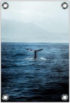 Tuinposter –Walvisstaart uit de Zee – 100x150cm Foto op Tuinposter (wanddecoratie voor buiten en binnen)