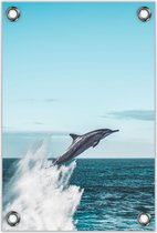 Tuinposter –Dolfijn uit de Zee – 80x120cm Foto op Tuinposter (wanddecoratie voor buiten en binnen)