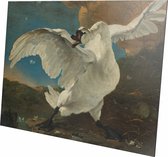 De bedreigde zwaan | Jan Asselijn  | Aluminium | Schilderij | Wanddecoratie | 60 x 90