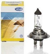 H7 Lamp Magnetti Marelli