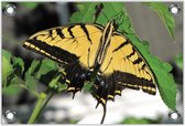 Tuinposter –Gele Vlinder– 90x60 Foto op Tuinposter (wanddecoratie voor buiten en binnen)