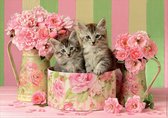 Puzzle Educa Kittens entre les roses 500 pièces