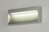 Lumidora Wandlamp 73171 - Ingebouwd LED - 6.0 Watt - 500 Lumen - 2700 Kelvin - Zilvergrijs - Metaal - Buitenlamp - IP54