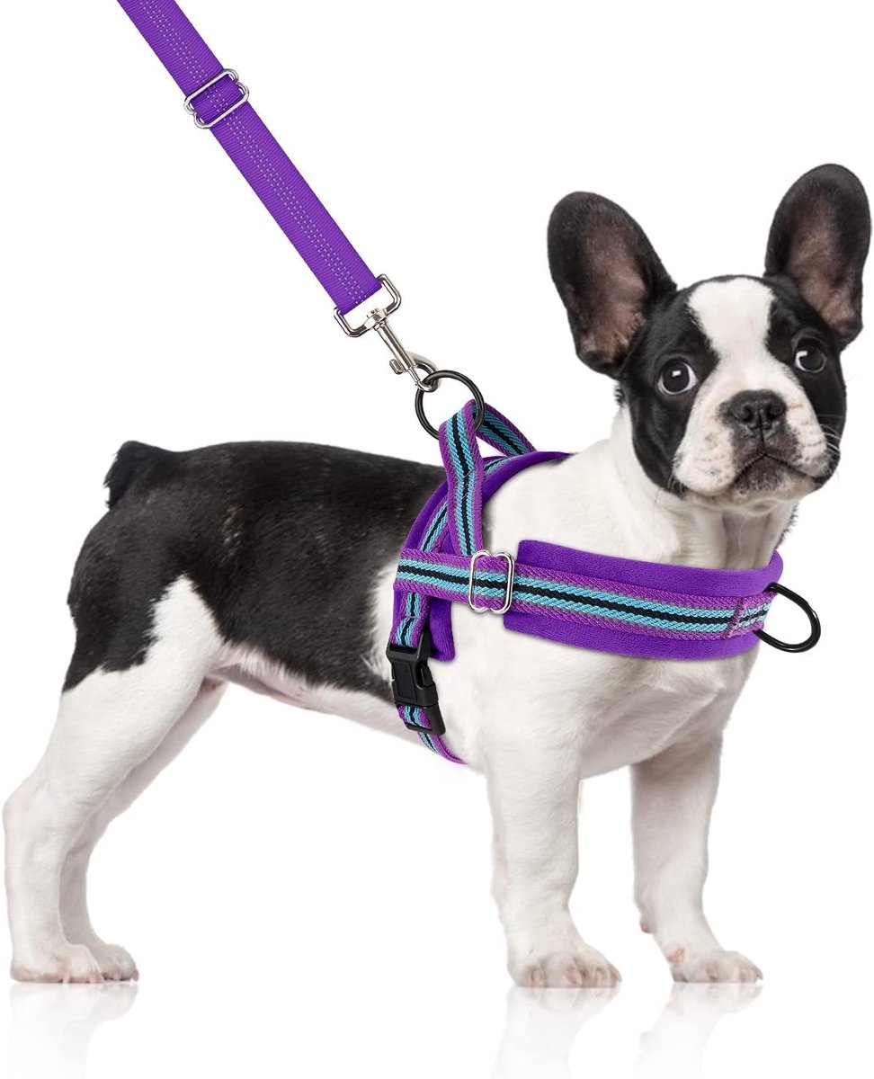 Hondenharnas met riem, geen trek, verstelbaar reflecterend puppy-harnas, ademend borstharnas voor kleine middelgrote honden en katten kattenharnas