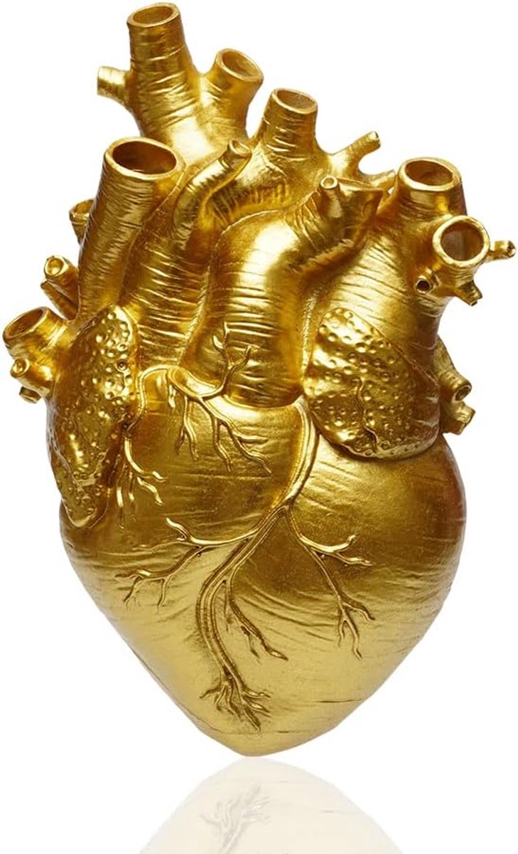 anatomische bloempot, decoratie voor woonkamer en slaapkamer