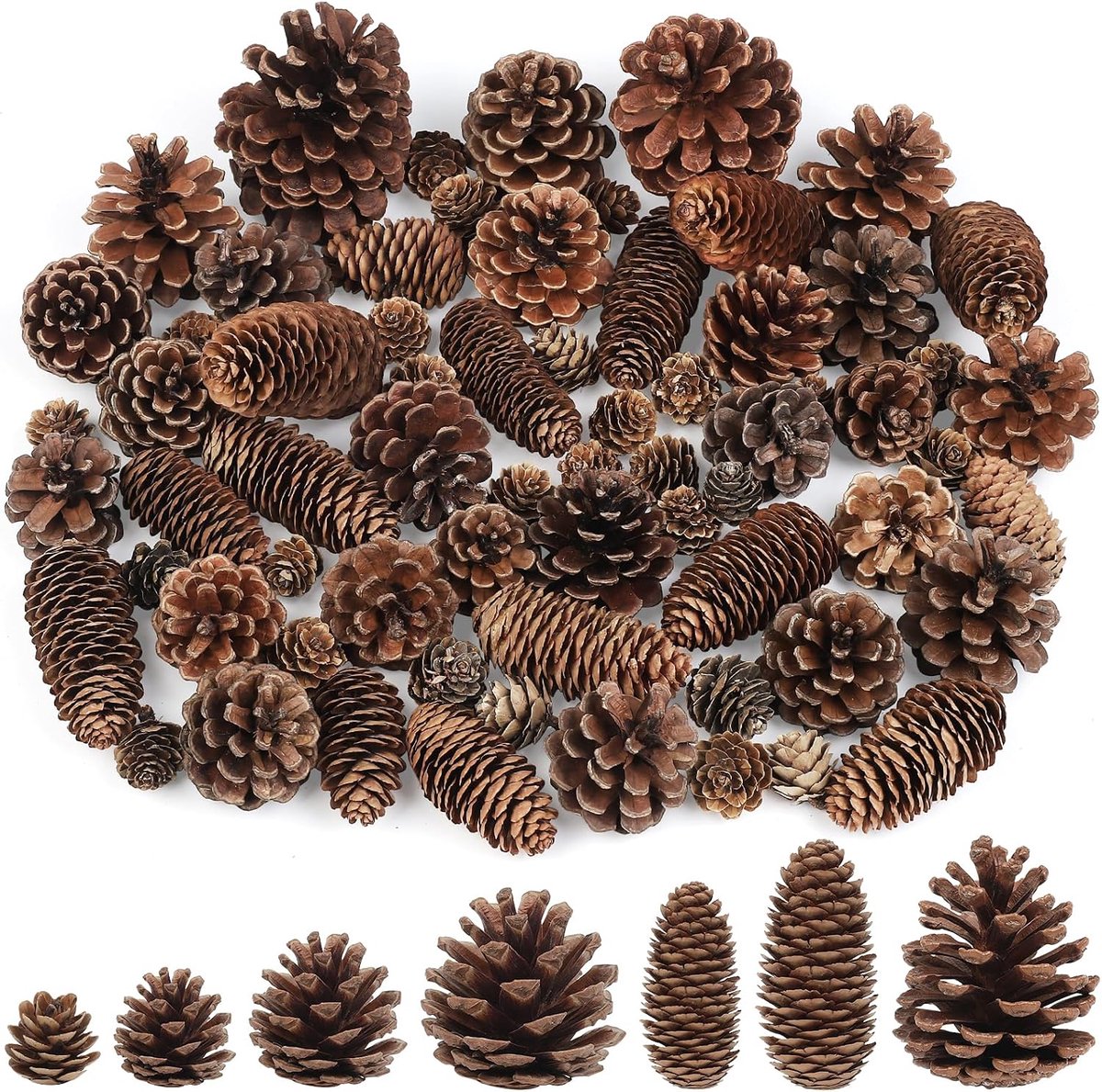 65 stuks natuurlijke dennenappels set decoratie meerdere maten dennenappels ornamenten rustieke dennenappels voor ambachten herfst en winter ambachten kerstboom woondecoratie