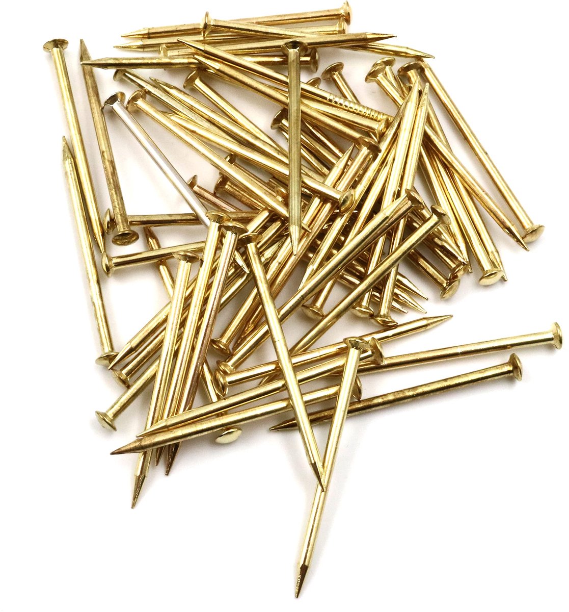 100 x stalen pennen stalen nagels plint pennen nagel 2,0 x 30 mm lenskop messing