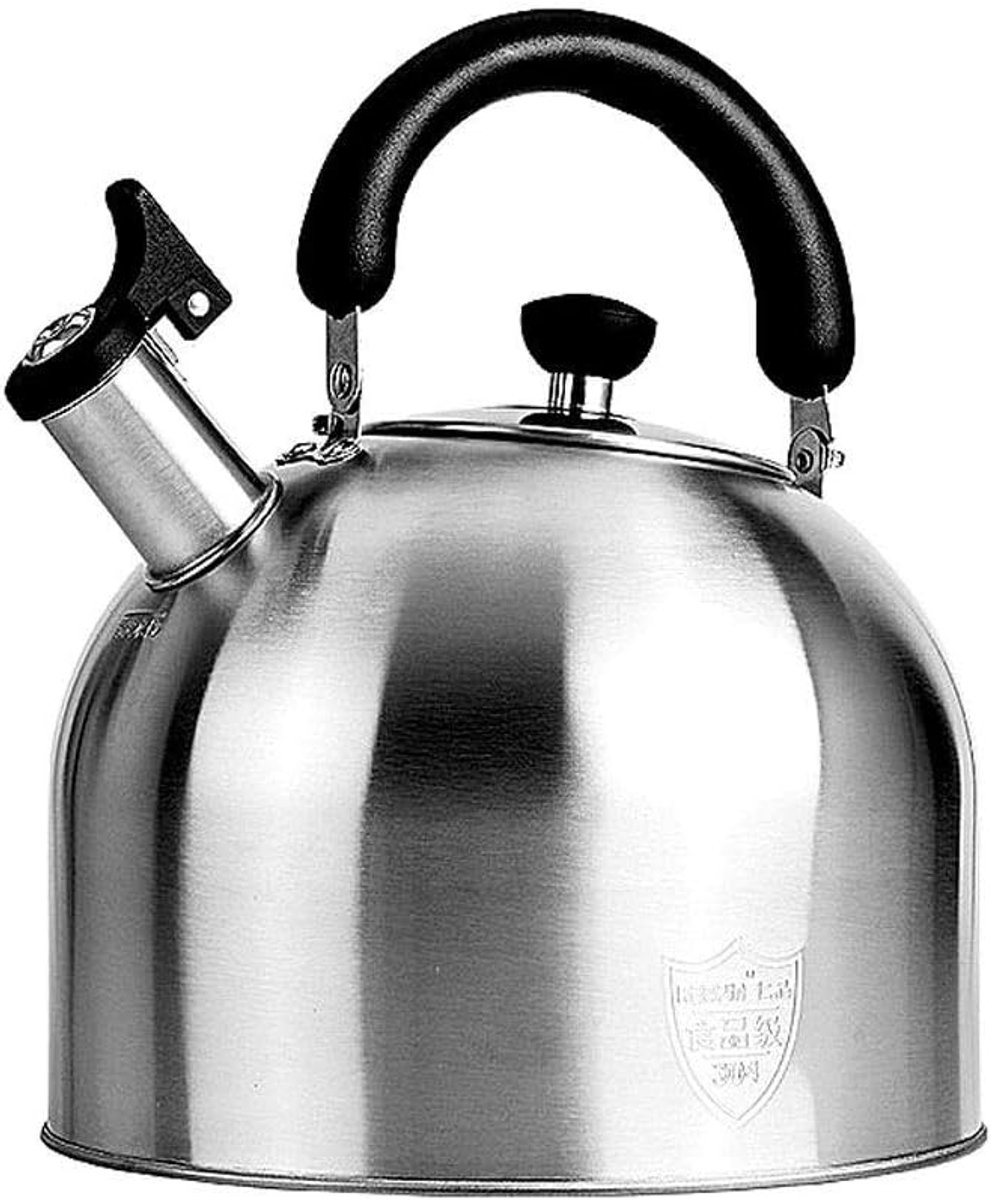 Waterkoker - Kettle Fluitketel - Water Koken - Roestvrij Staal - 3 Liter - Multicolor