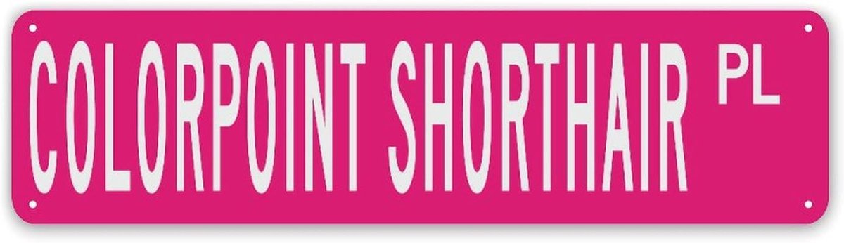 Gepersonaliseerd Bord - Naambord Huis - Woondecoratie - Aanpasbaar Ontwerp - 30 x 7.6 cm - Stijl 16