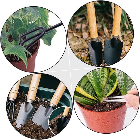 Mini Tuinset - Succulent Gereedschap - Planten Verzorgen - Ergonomisch Ontwerp - 10 Delig - Assorti van MINI — afbeelding 3