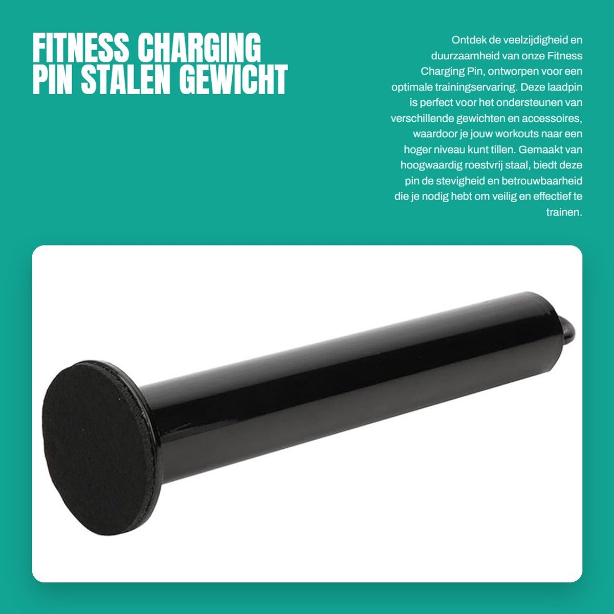 Dailygoods- Gewichtspinnen van roestvrij staal - Laadpin - Fitness Accessoire - Kabelpulley Systeem - Dumbbell Ondersteuning - Afmetingen 20x220mm/20x320mm/48x320mm