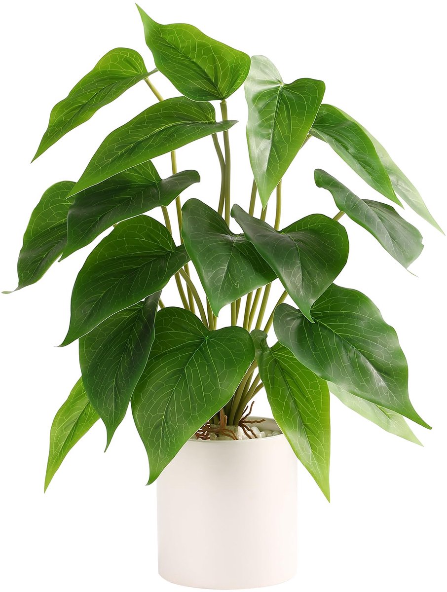 SnelShoppen - Floweroyal Nepplant in keramische pot - faux potplanten voor binnen - groene bladplant met witte plantenbak - ideaal voor bureau, kantoo