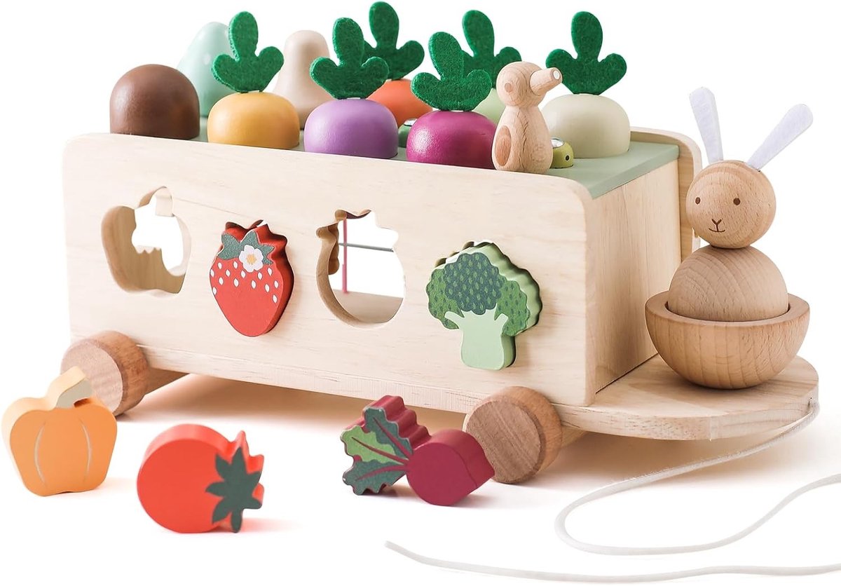 Houten Bijtring Montessori Speelgoed voor Kinderen van 1 tot 3 Jaar, Sorteringsspel, Houten Puzzel met Groenten en Voertuigen, Educatief en Leuk Cadeau voor Jongens en Meisjes