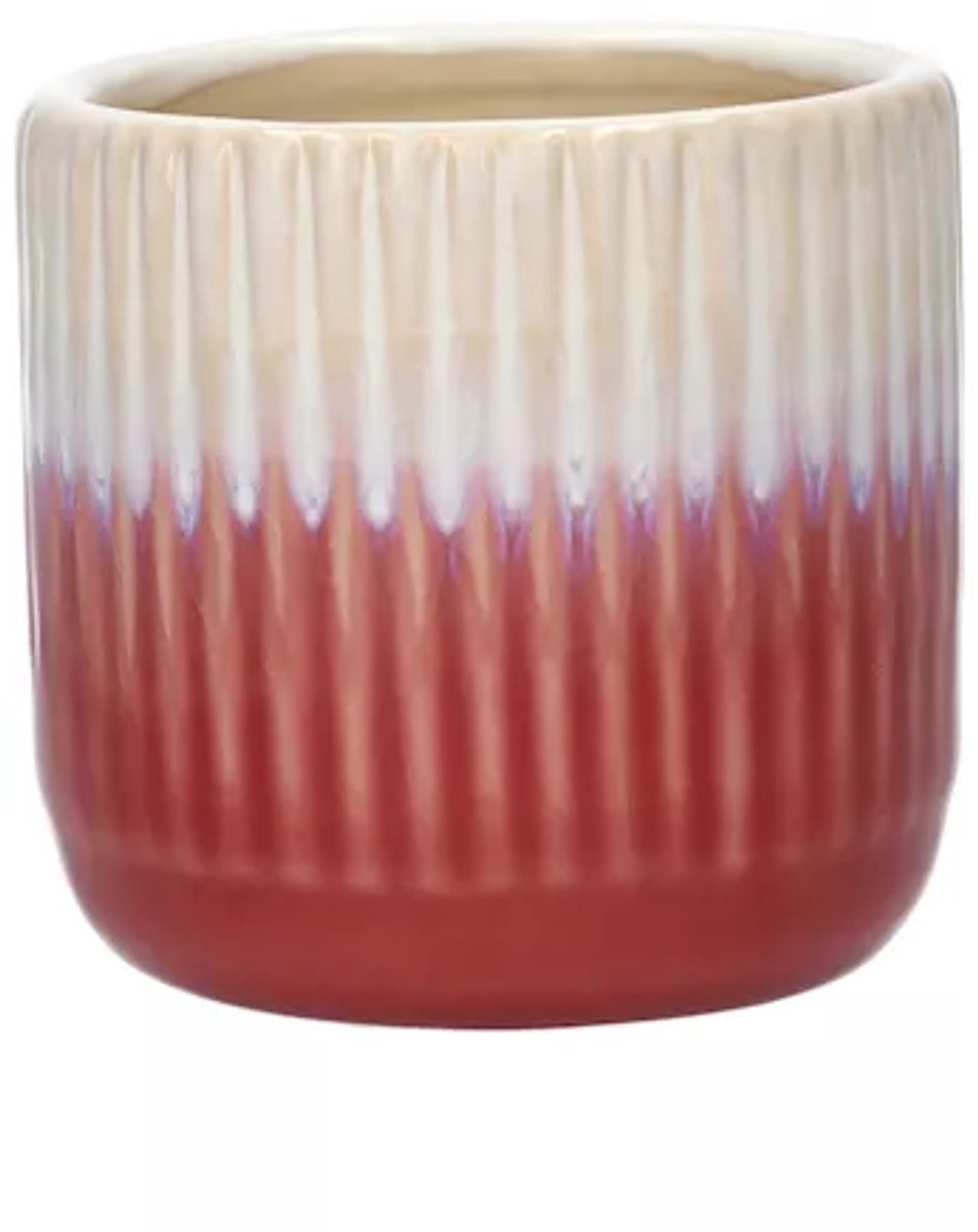 Pot Dave | Duif | Roze