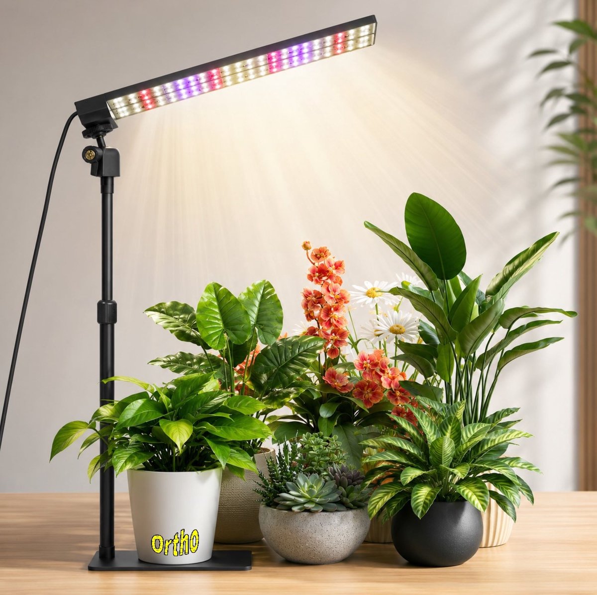 Ortho® - LED Groeilamp op voet - Full Spectrum Kweeklamp - 160 LED's - 30W verbruik - Professionele groeilamp - Indoor Grow Light - LED verlichting