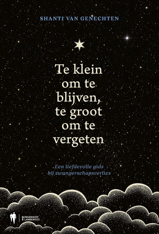 Te klein om te blijven, te groot om te vergeten - cover