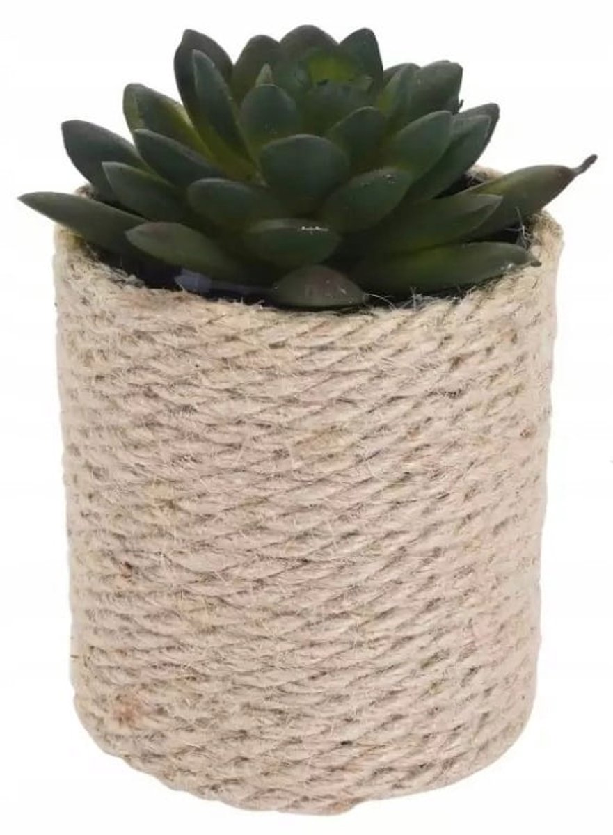 Koopman Sierplant - Kunstplant in Pot - 8x14 cm - Realistische Uiterlijk Groen