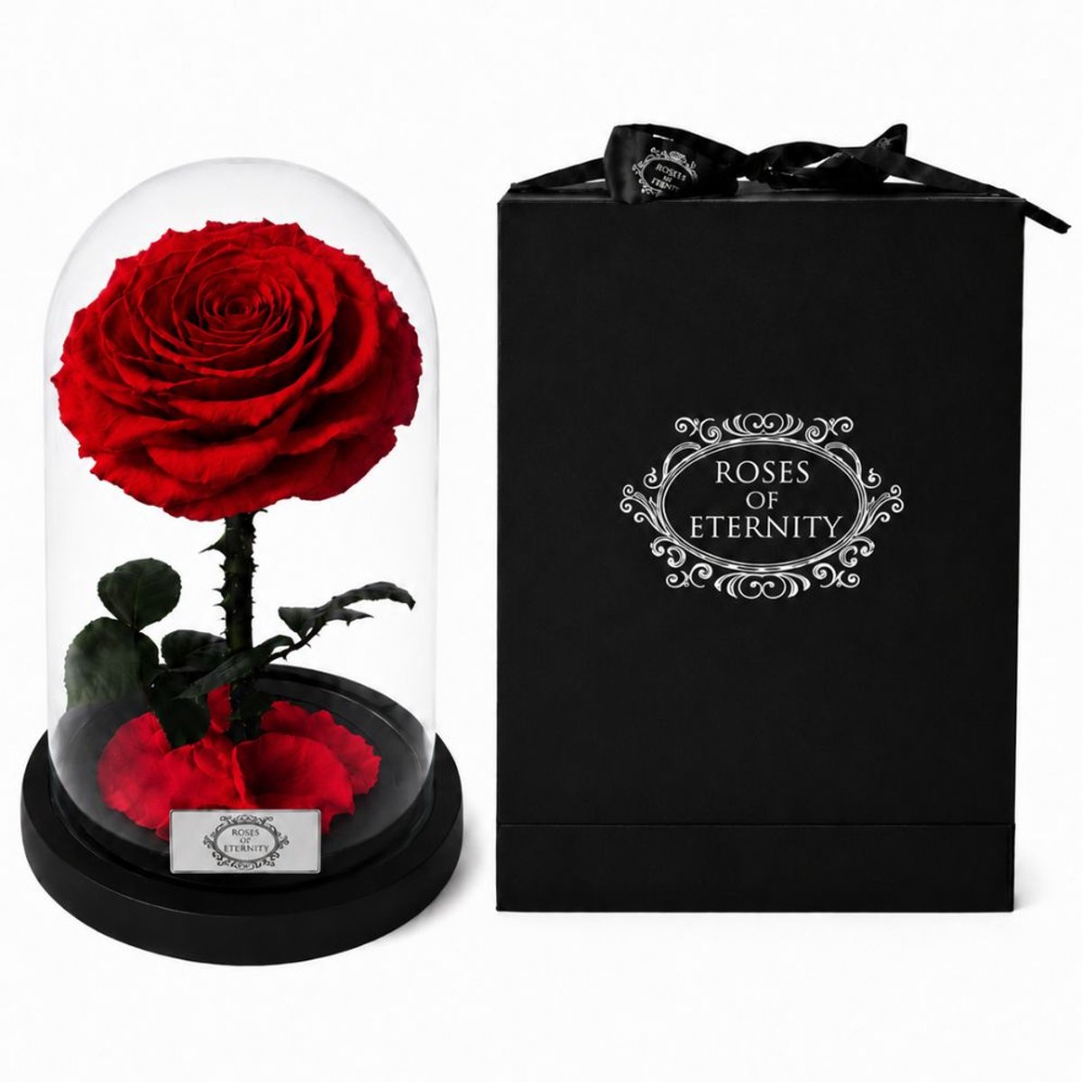 Roses of Eternity - Echte Roos in Glazenstolp - 3 Jaar Houdbaar - Cadeau voor vrouw, vriendin, haar - Valentijn - Valentijnsdag - Huwelijk - Romantisch Liefdes Moederdag cadeautje - rood