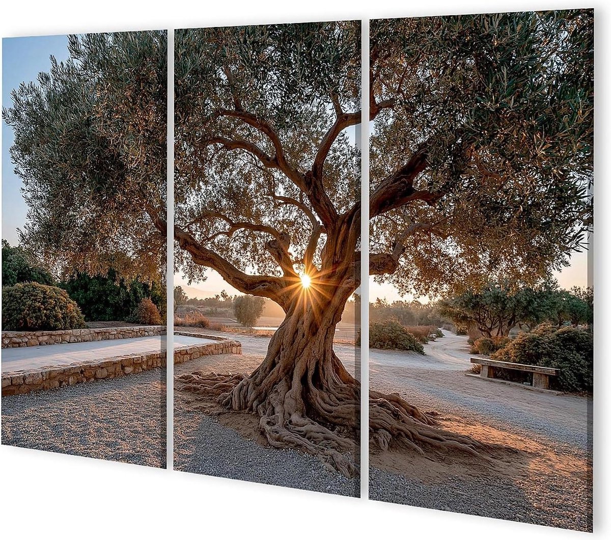 Canvas Schilderij Olijfboom - Muurschildering Woonkamer - Interieur Decoratie - Echte Canvas Structuur - 130x80cm - 3 Delen - Natuurlijke Kleuren