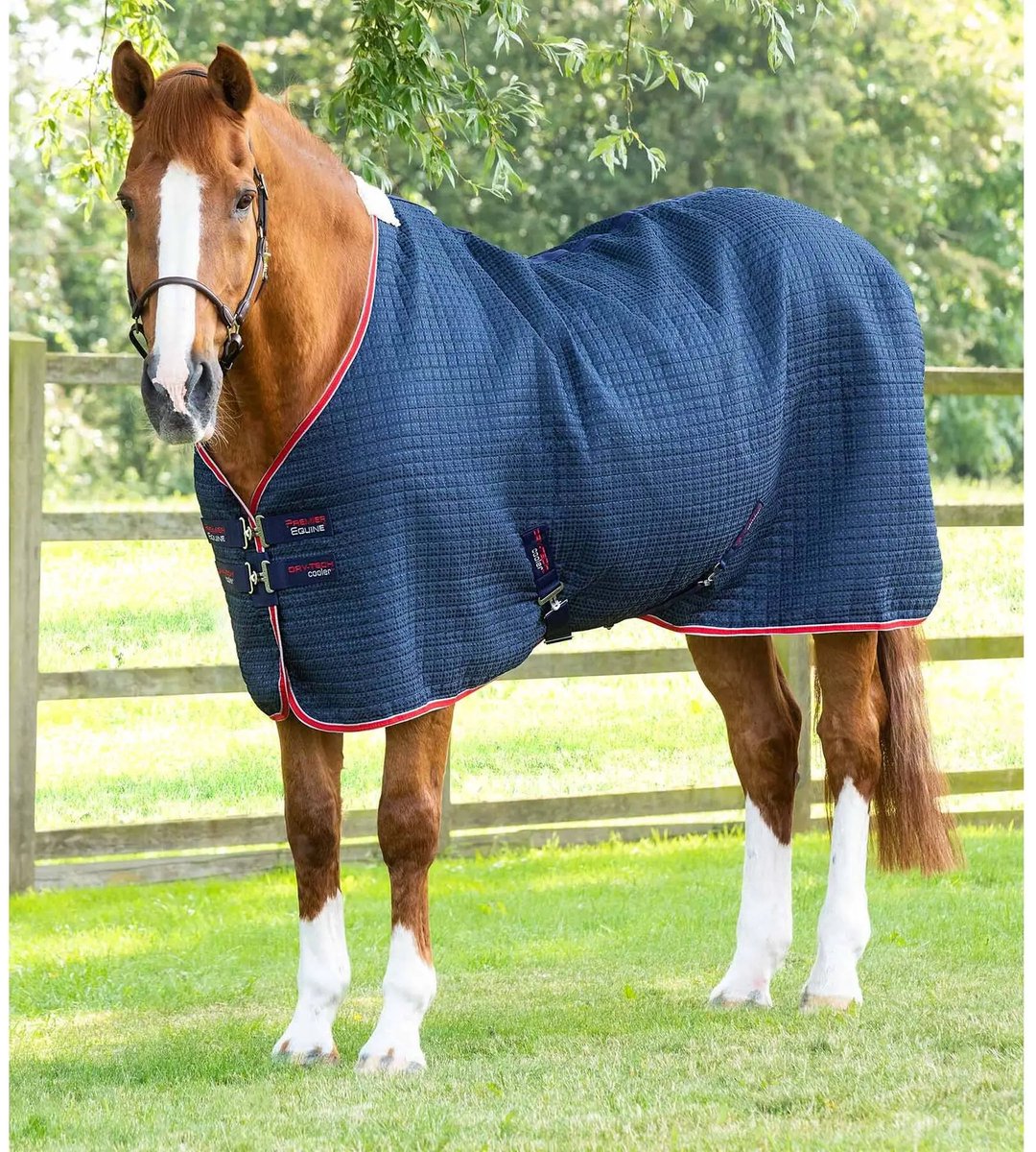 Paardenloopdeken Premier Equine Walker 0 g