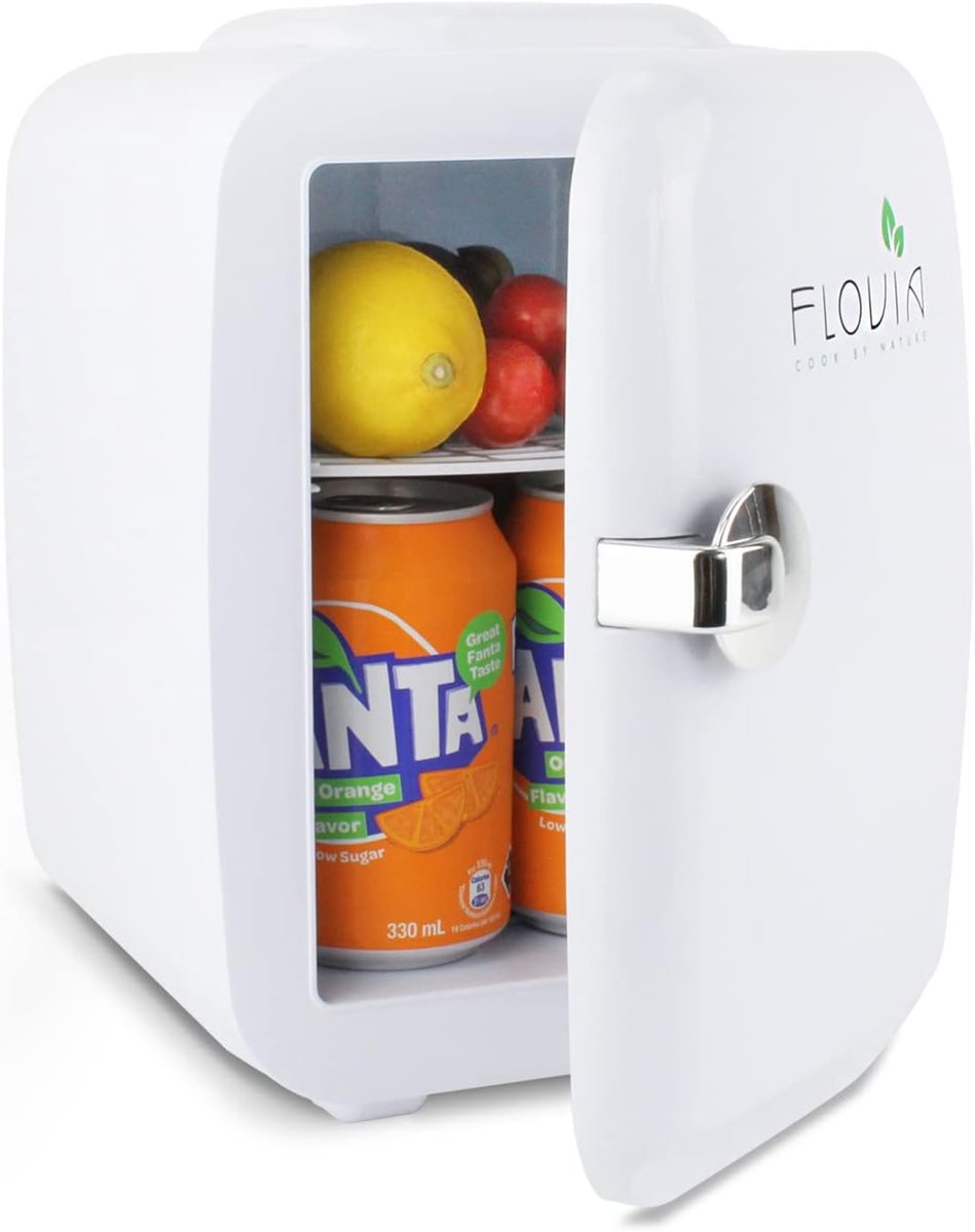 Mini Koelkast 4L - 2-in-1 Koelen en Warmhouden - 220V/12V - Draagbaar - Kantoor, Slaapkamer, Auto, Camping