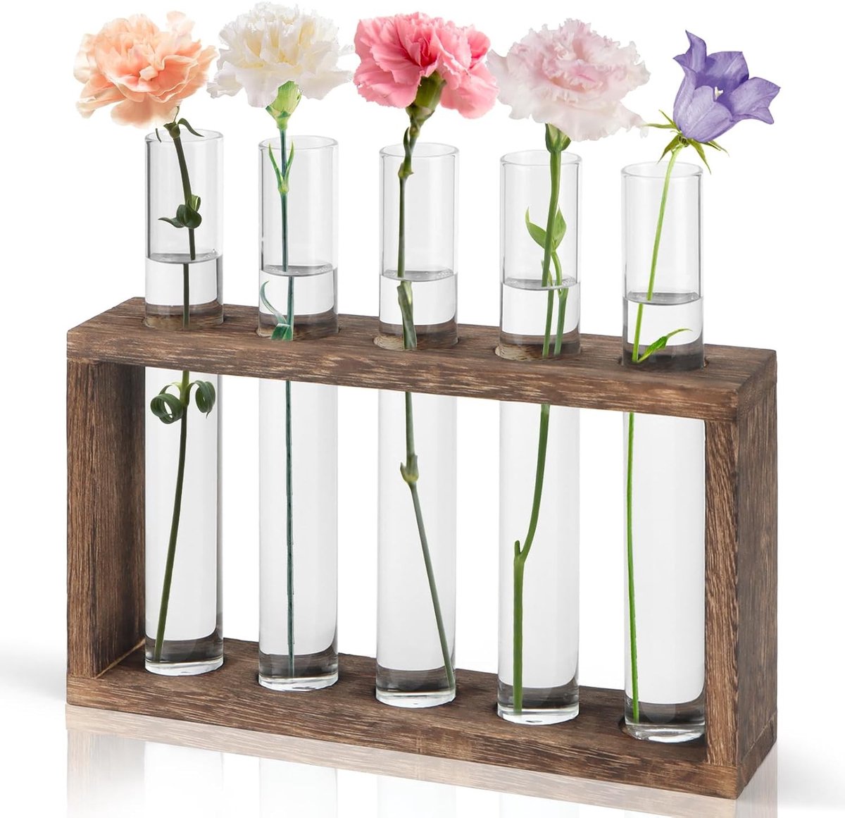 Mini Reageerbuis Vaas - Transparant - 5 x 18 cm - Houten Standaard - Voor Planten en Bloemen