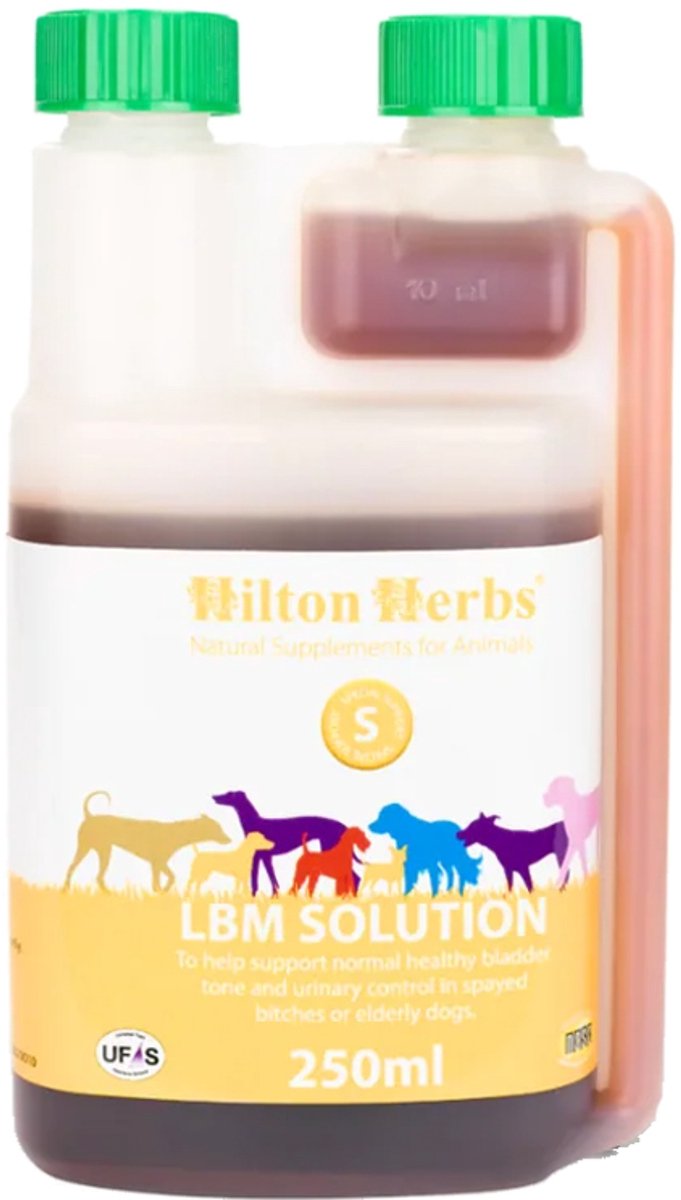 Hilton Herbs LBM Solution for Dogs - 250 ml