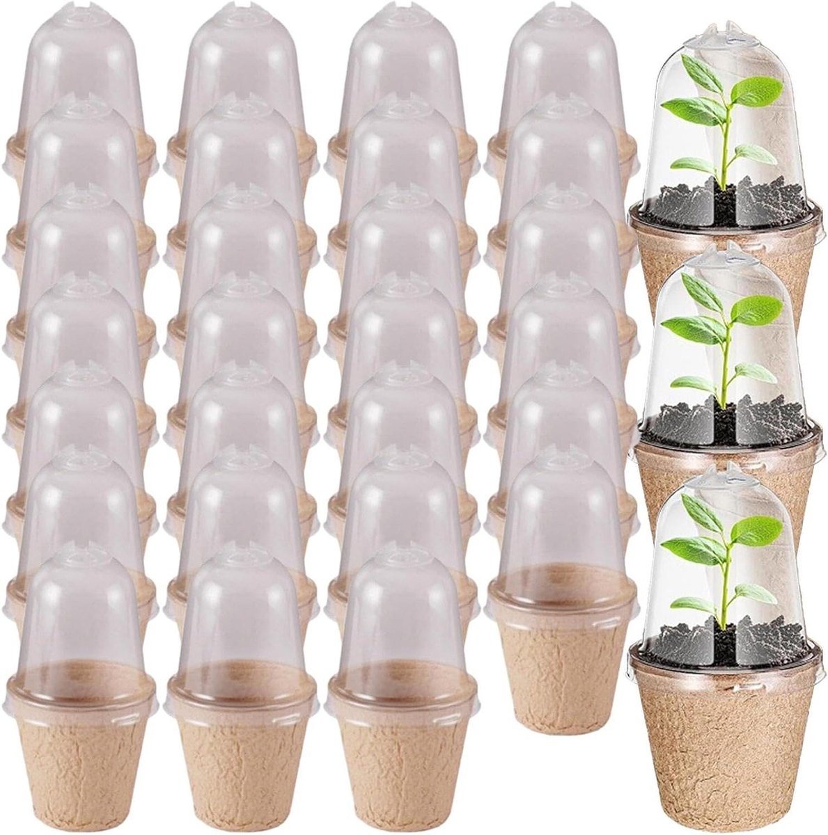 Biologisch afbreekbare plantenpotten - Zaaitrays Turfpotten - Zaailingen Kweken - Composteerbaar Materiaal - 30 stuks - Bruin