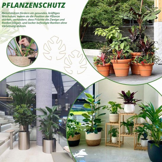 Pflantensteun 4-delig voor Monstera en andere kamerplanten — afbeelding 2