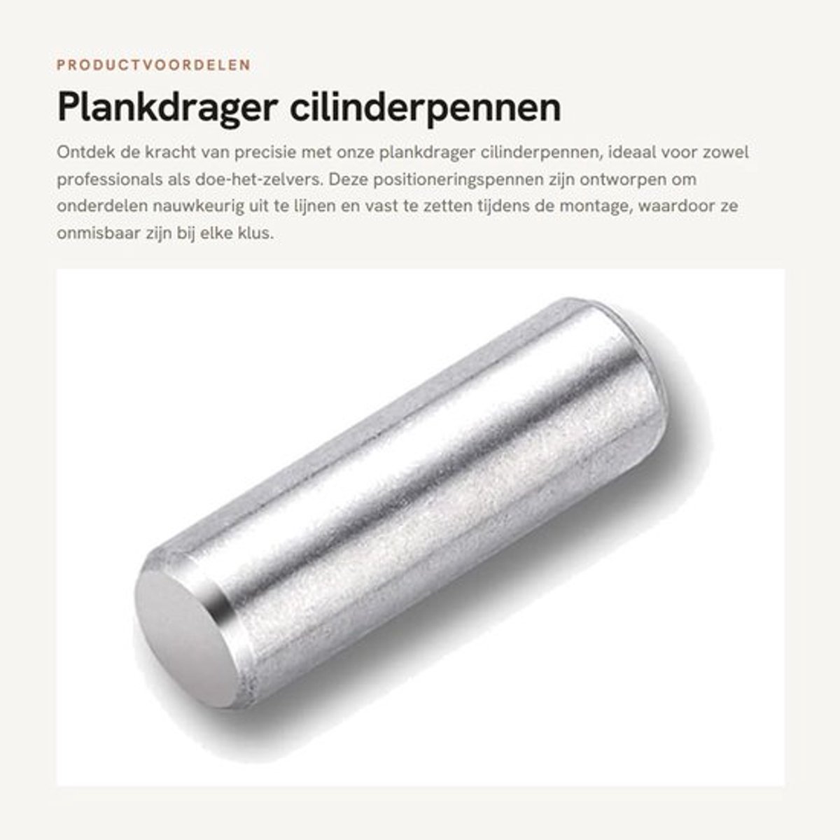 Plankdrager - Cilinderpennen - Roestvrij Staal - Positioneringspennen - 100 Stuks - Duurzaam en Corrosiebestendig - Positioneringspen