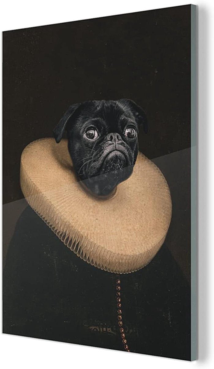 Glasschilderij Hond - Acryl Glasprint - Wanddecoratie - Scherpe Afdruk - 90x120 cm - Multi
