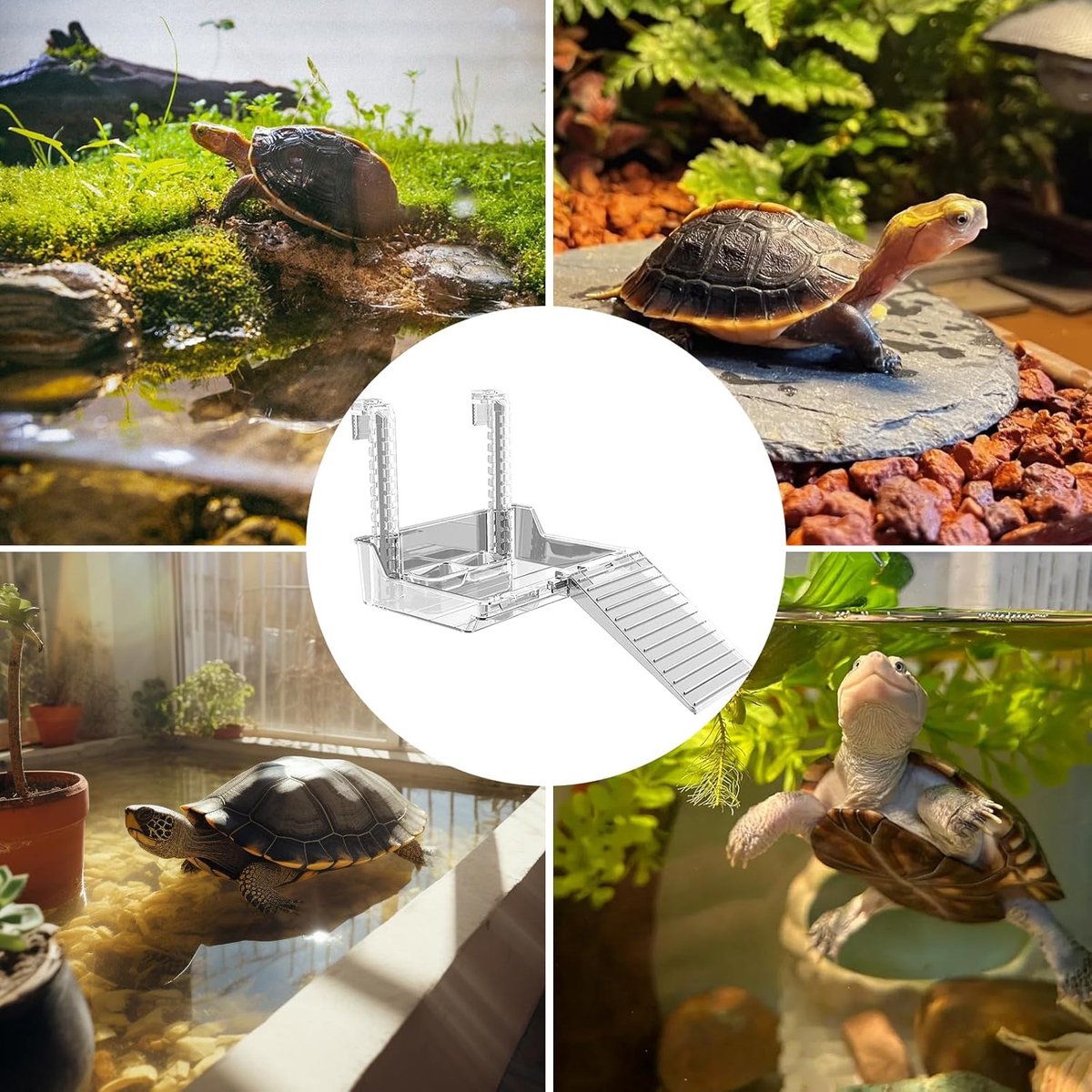 Hangend platform - waterschildpad platform - aquariumaccessoires, geschikt voor kleine schildpadden, kleine reptielen, waterdieren, verstelbaar (maat: M)