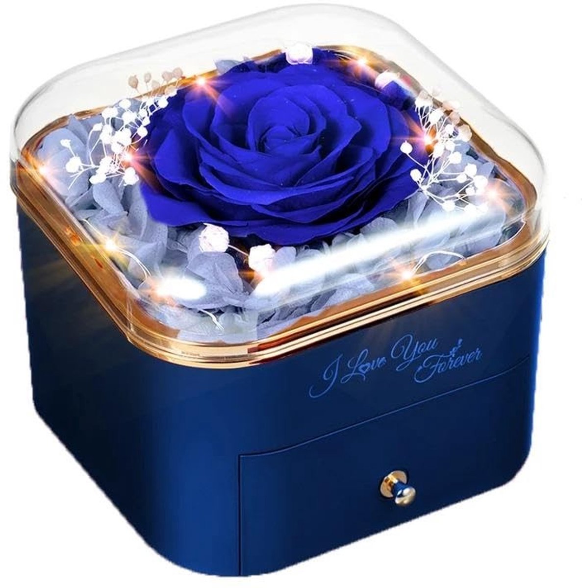SolidKeus - Geconserveerde Roos met Halsketting voor Vrouwen in Geschenkdoos