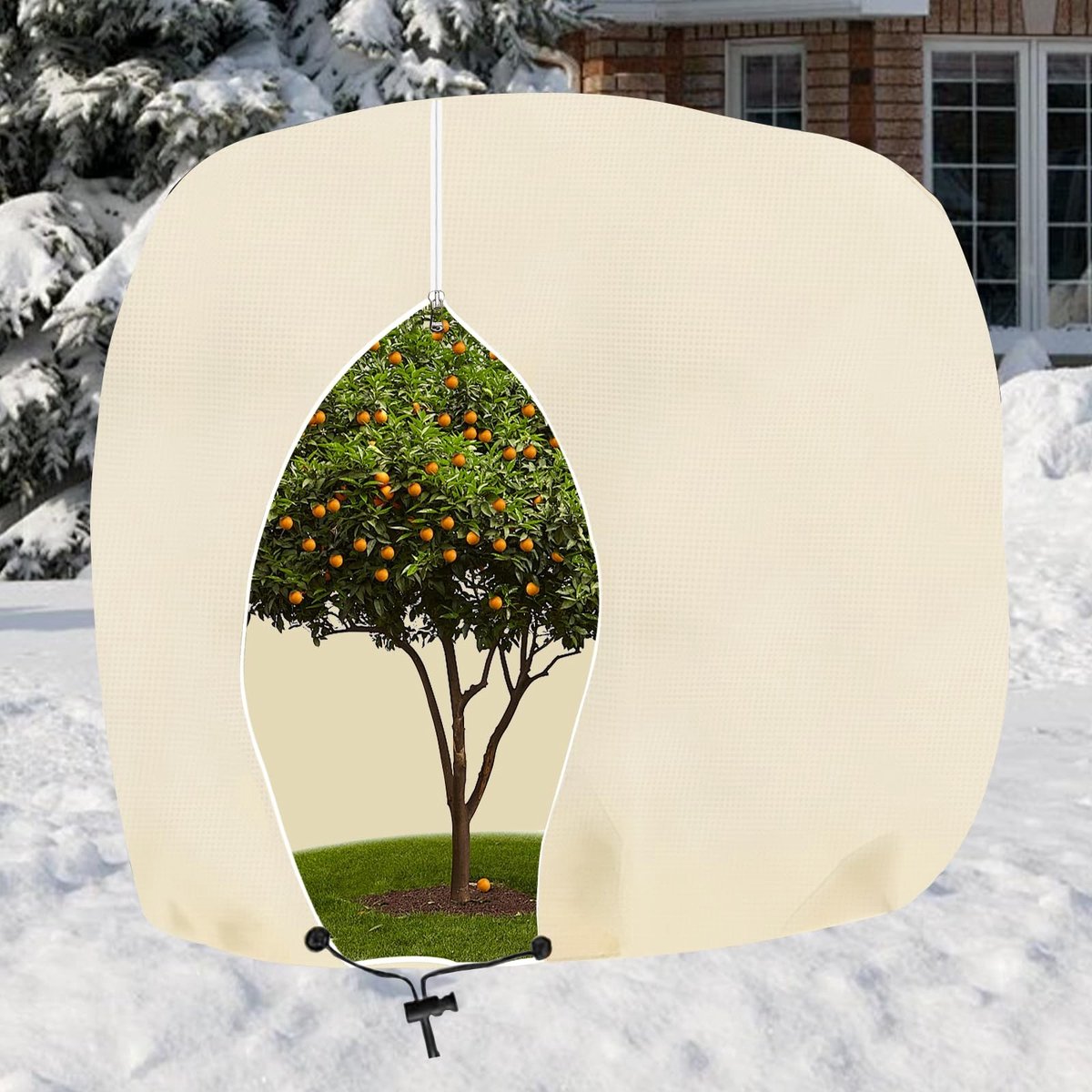 SolidKeus - Winterbescherming voor Planten, Beige, 250 x 360 cm