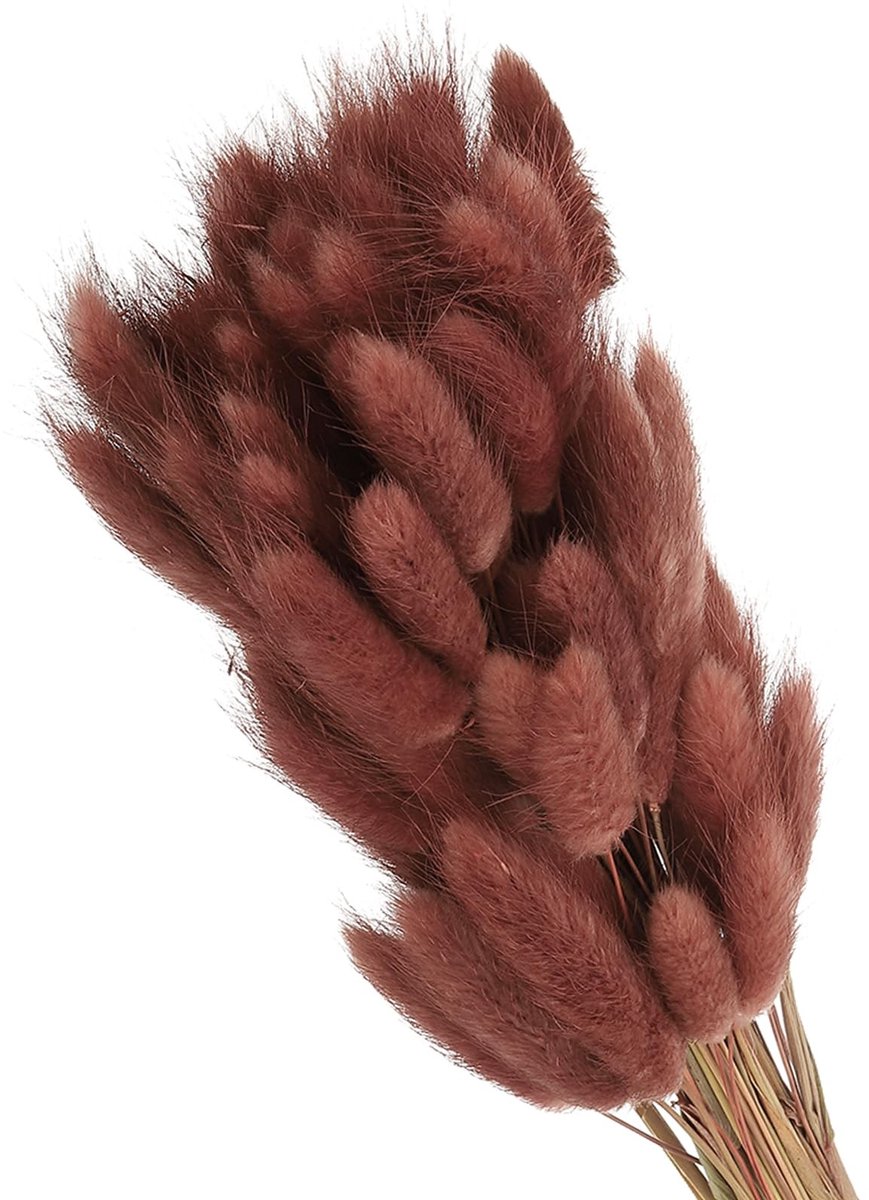 Elzusha - Gedroogde Konijnenstaart Gras - 150 Stuks Natuurlijke Pluizige Decoratie Bruinrood