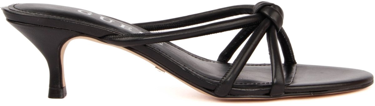 Garisa