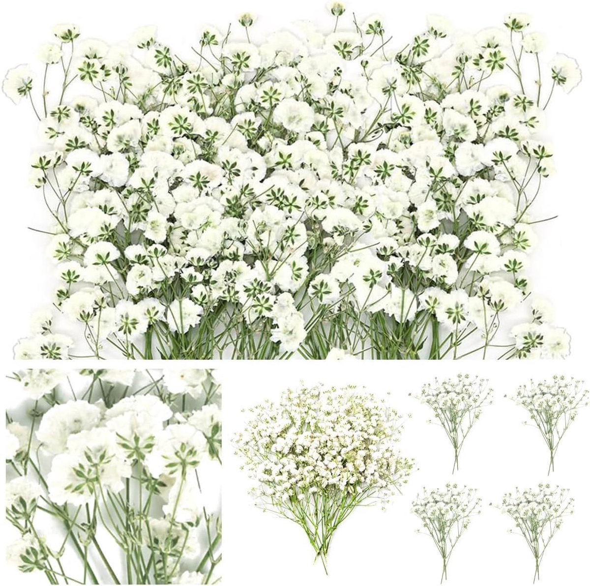 60 stuks gedroogde geperste gipskruidbloemen - echte afgeplatte natuurlijke gedroogde mini witte gipskruidbloemen voor het maken van hars - bruiloftskaart - kunstambacht - doe-het-zelf home party decor