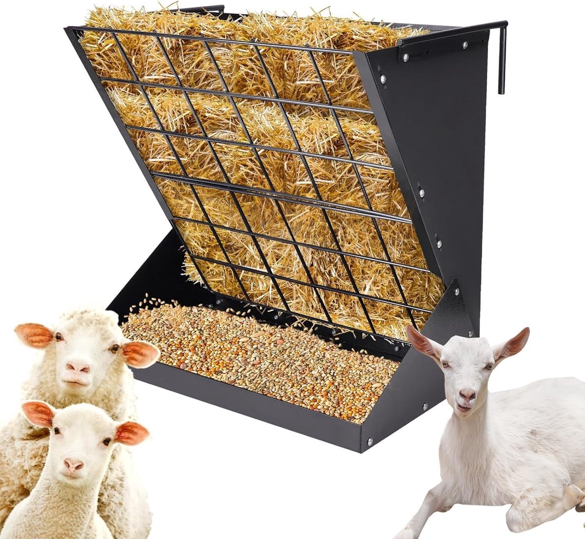 SolidKeus - 2-in-1 Hooibak en Voederbak voor Schapen en Geiten