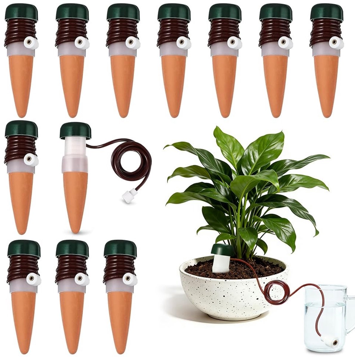 SolidKeus - 12-stuks Plant Waterdispenser voor Binnengebruik