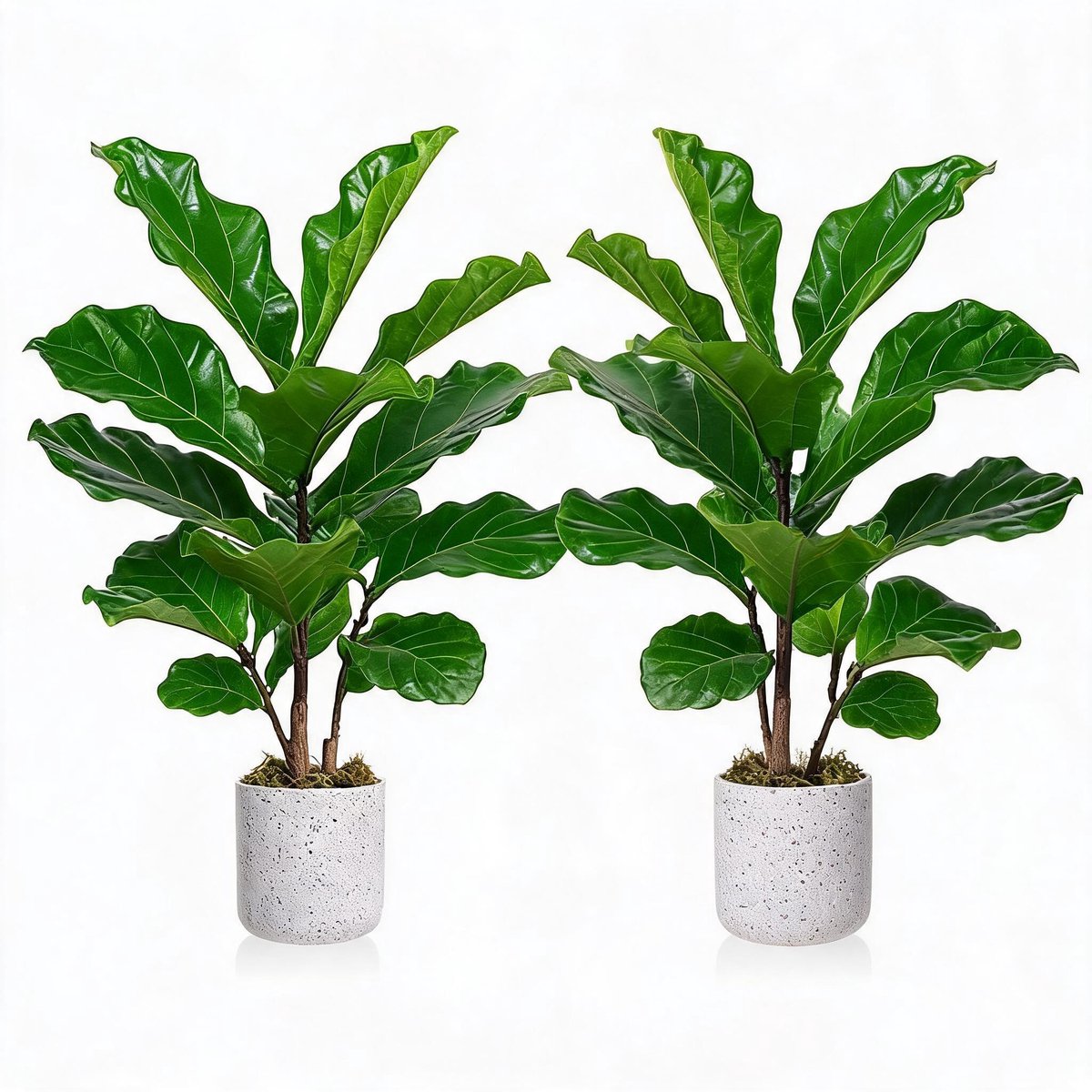 Triumpunpre kunstficus lyrata set 2 stuks 40 cm groen PEVA - tafeldecoratie met marmerlook pot voor binnen